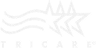 61 logo 4